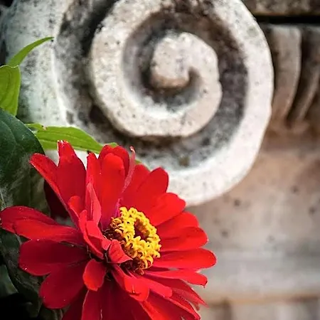 L'incanto فندق مبيت وإفطار Cava deʼ Tirreni