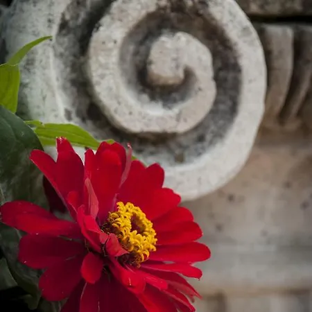 L'incanto